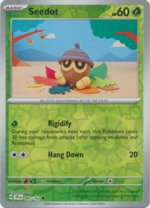 Seedot - 003/162 - Common Reverse Holo