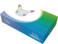 Pokemon-30th-UPC-Day-Inner-Box-Right.png