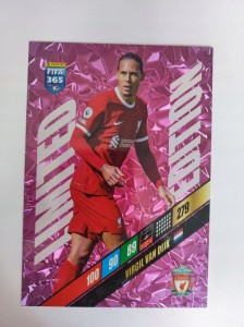 Karta Panini Fifa 365 2024 Virgil Van Dijk XXL