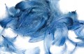 52f159c0b7ec29fb62f3740332f0fd45