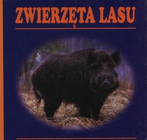 Zwierzęta lasu Praca zbiorowa - książka rozkładana harmonijka