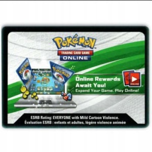 POKEMON - 20 LOSOWYCH KODÓW DO GRY ONLINE